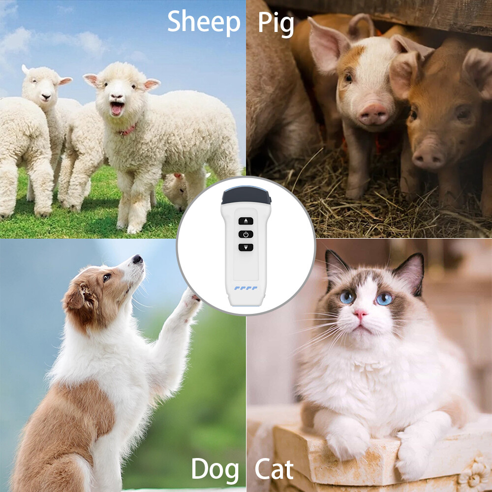 Wireless Color Doppler Ultrasound Machine 3.2MHZ and 7.5MHZ For Cat, Pig, Sheep