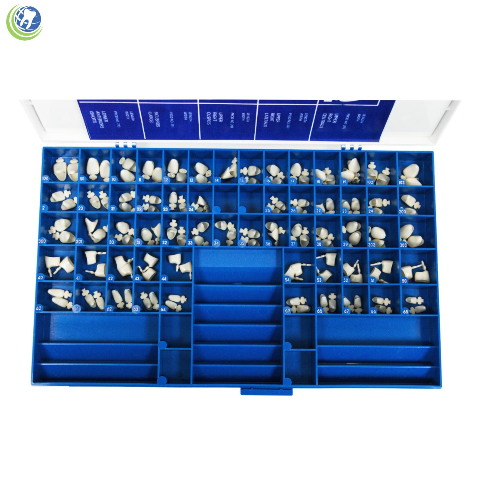 Polycarbonate Temporary Dental Crowns 180 Pcs Paper Mold Guides Universal A1