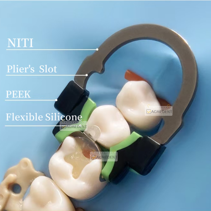 Dental Matrix Ring Big Wide Clamp Titanium Fits Palodent V Garrison Wagotrix
