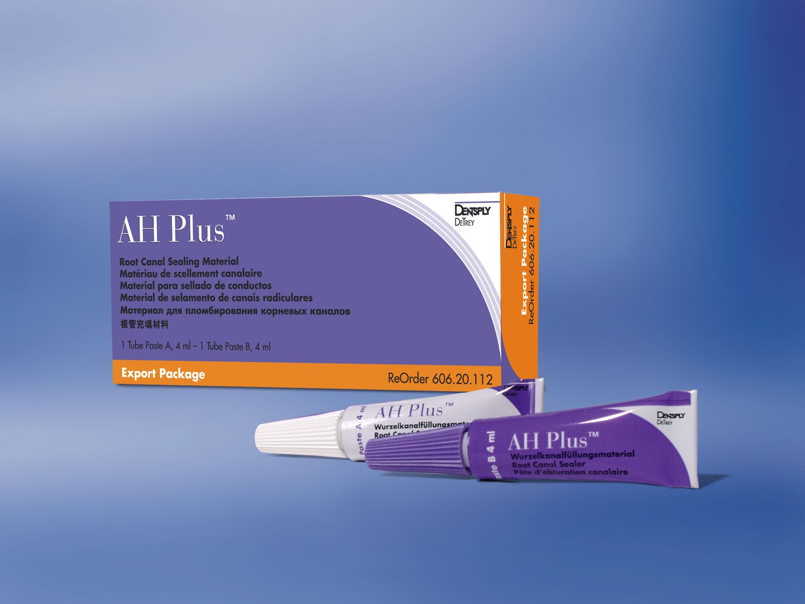 Dentsply Sirona 60620112 AHPlus Root Canal Sealing Material Sealer Kit 667003