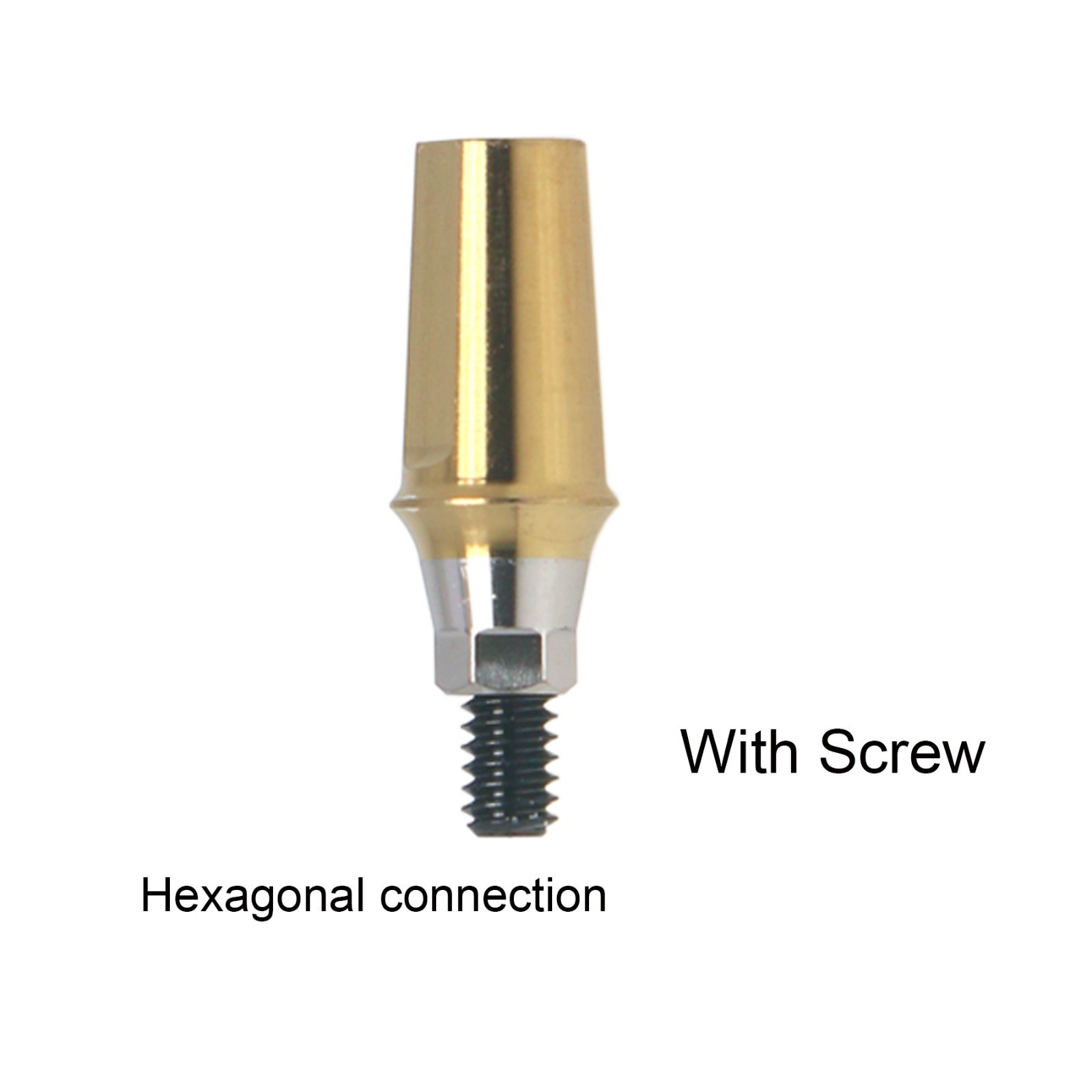 Dental Regular Mini Straight Abutment Hex Cemented W/Central screws fit Hiossen