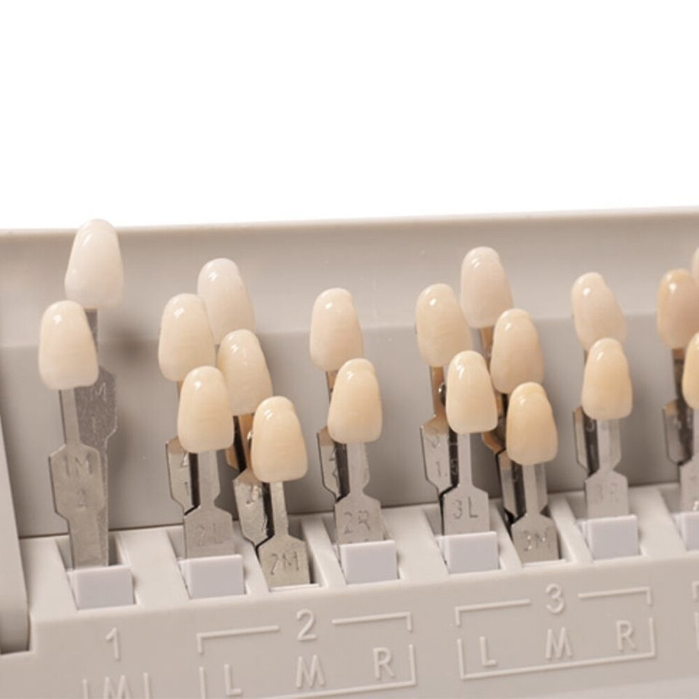 VITA Dental Toothguide 3D Master Resin 29 Colors With Bleached Shade Guide