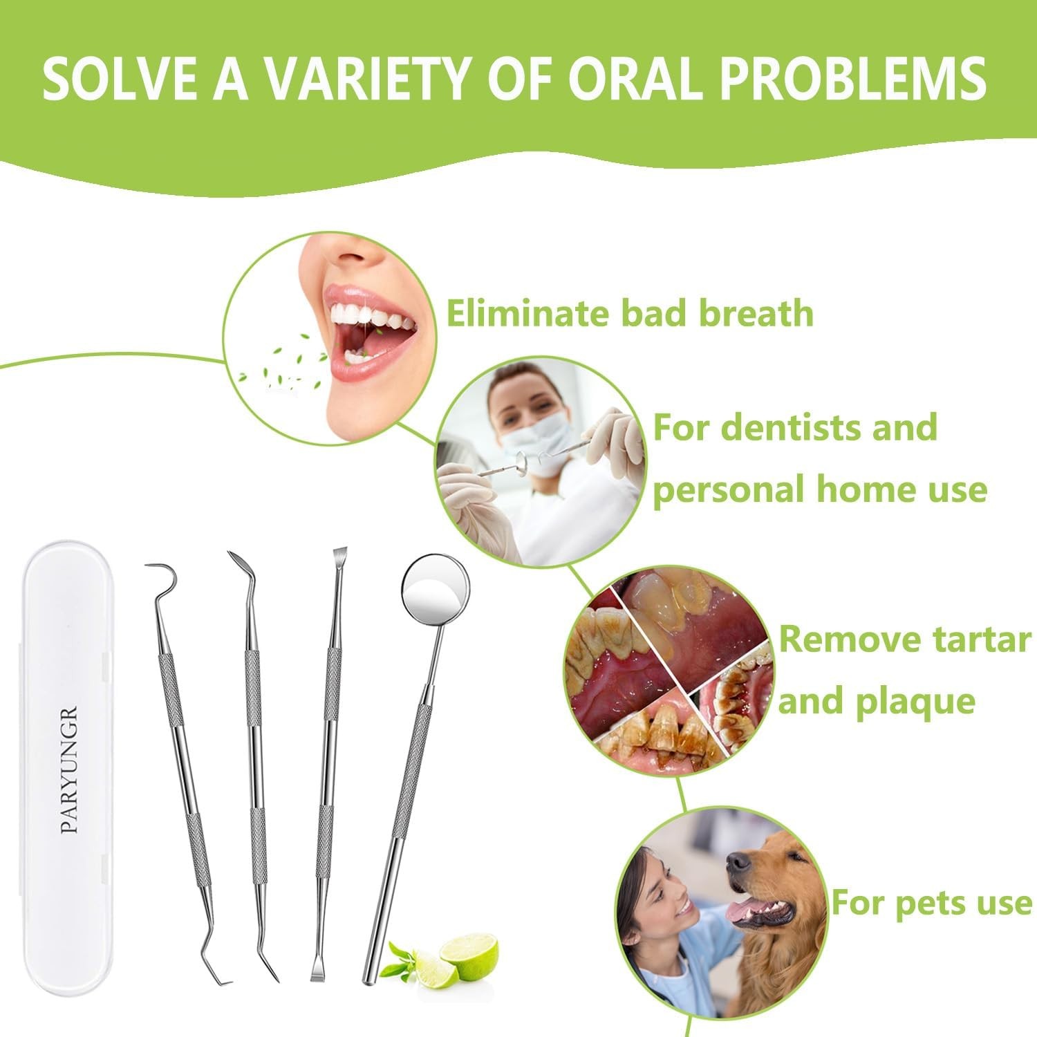 Dental Tools, Professional Teeth Cleaning Oral Care Hygiene Kit, Stainless Steel