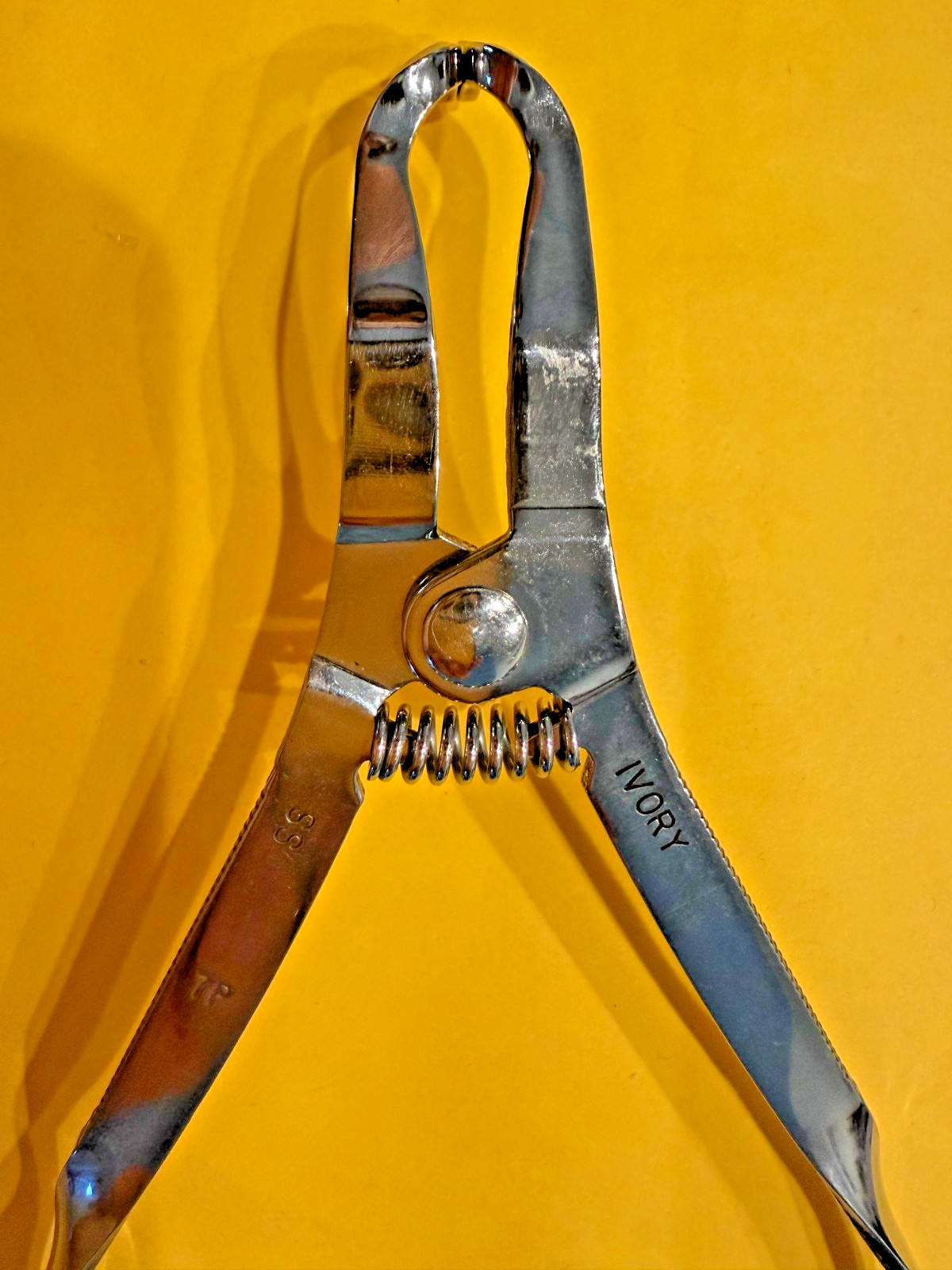 Ivory Rubber Dam Clamp Forceps, OPEN BOX