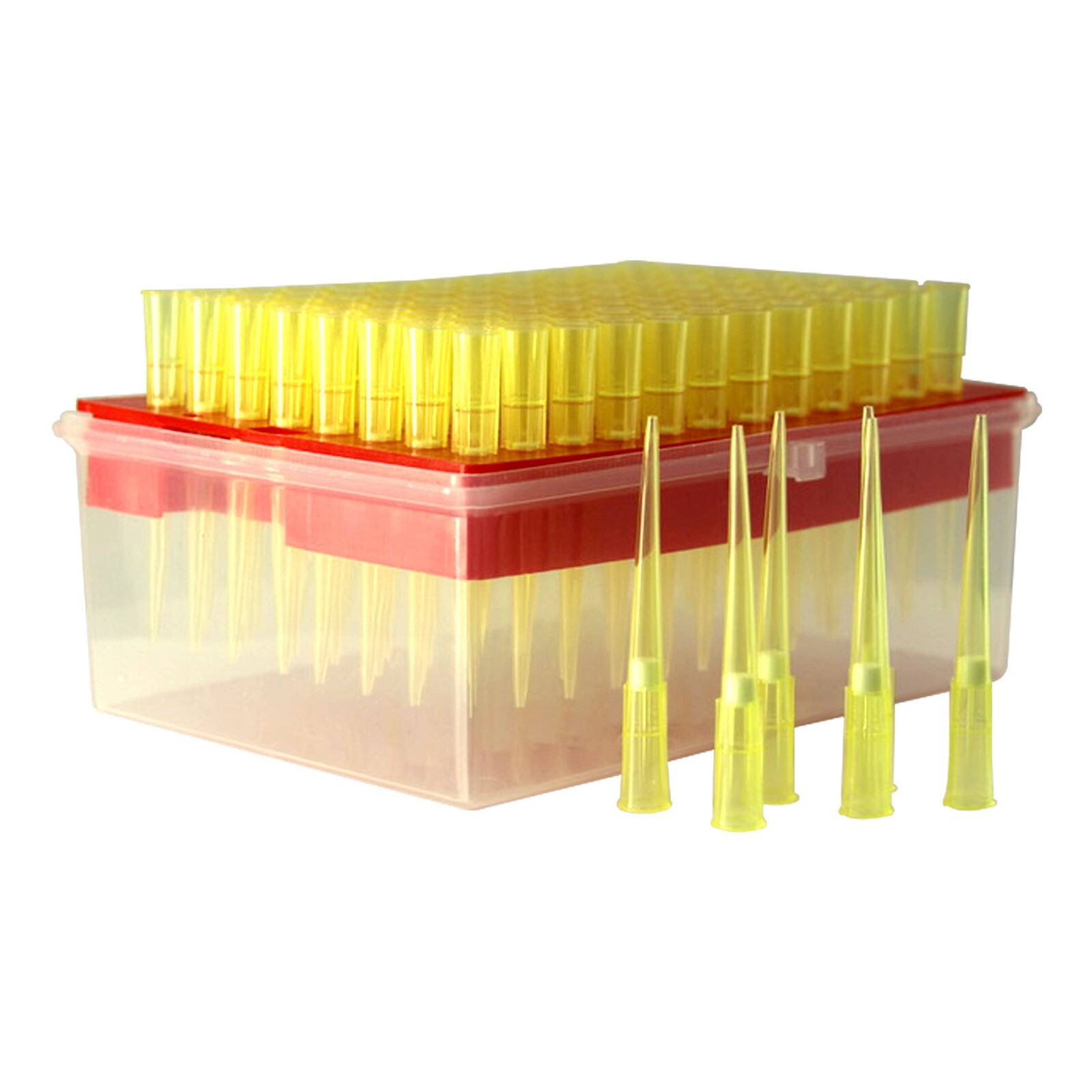 200ul Universal Filtered Pipette Tips