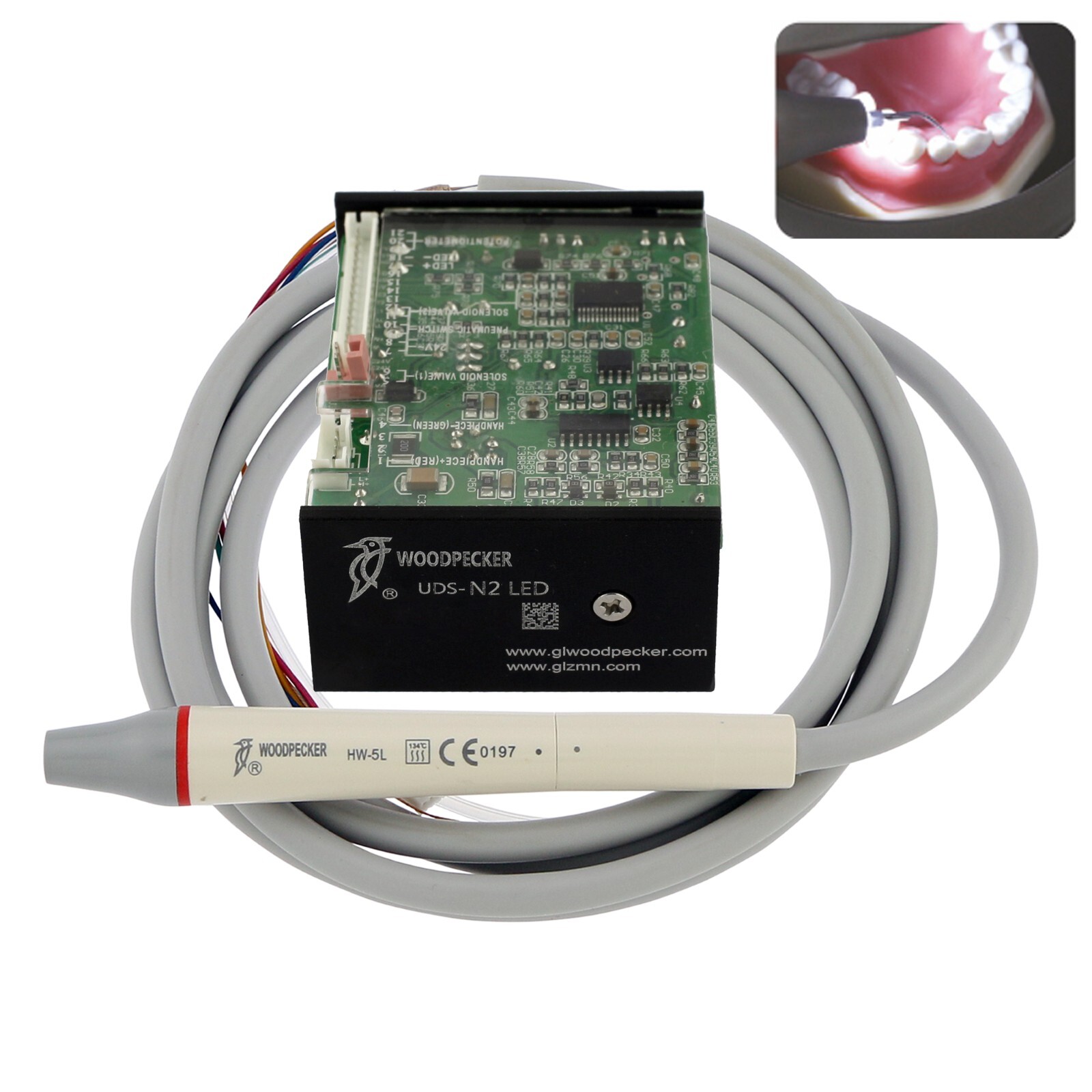 Woodpecker Dental Ultrasonic Piezo Scaler Built in LED Handpiece Tips EMS UDS