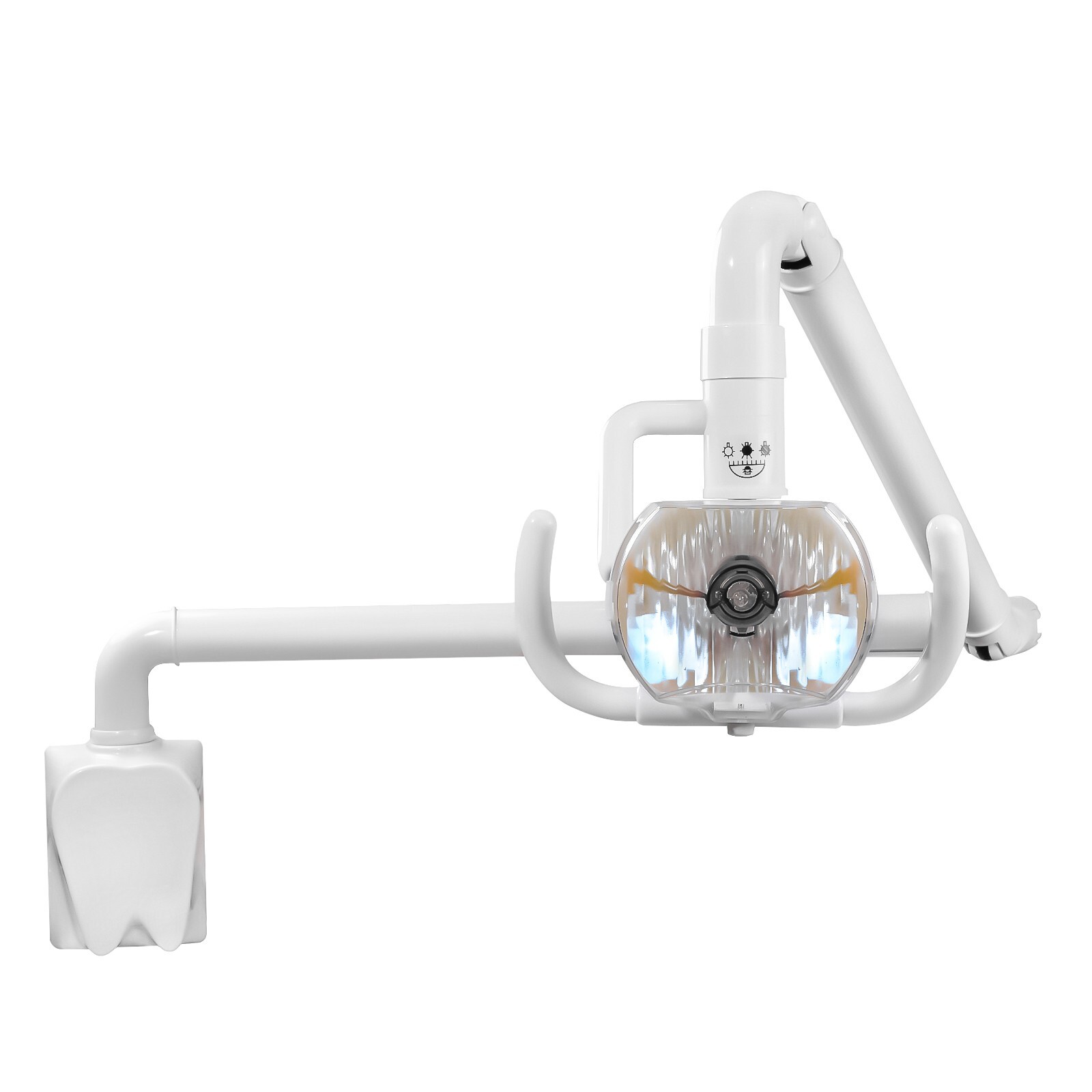Wall Mounted 50W Dental Oral Lamp Cold Light Shadowless Surgical Exam Lamp US