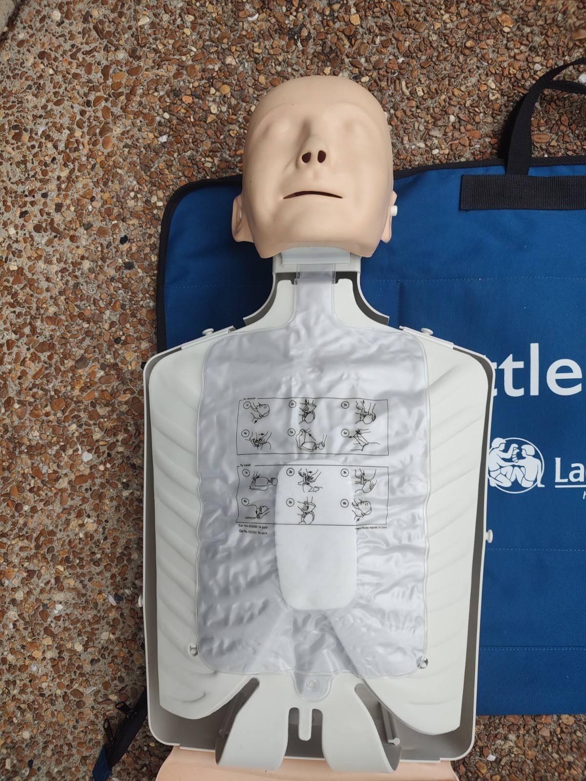 Laerdal Little Anne CPR Adult Training Manikin/ AED (QCPR Upgradeable)