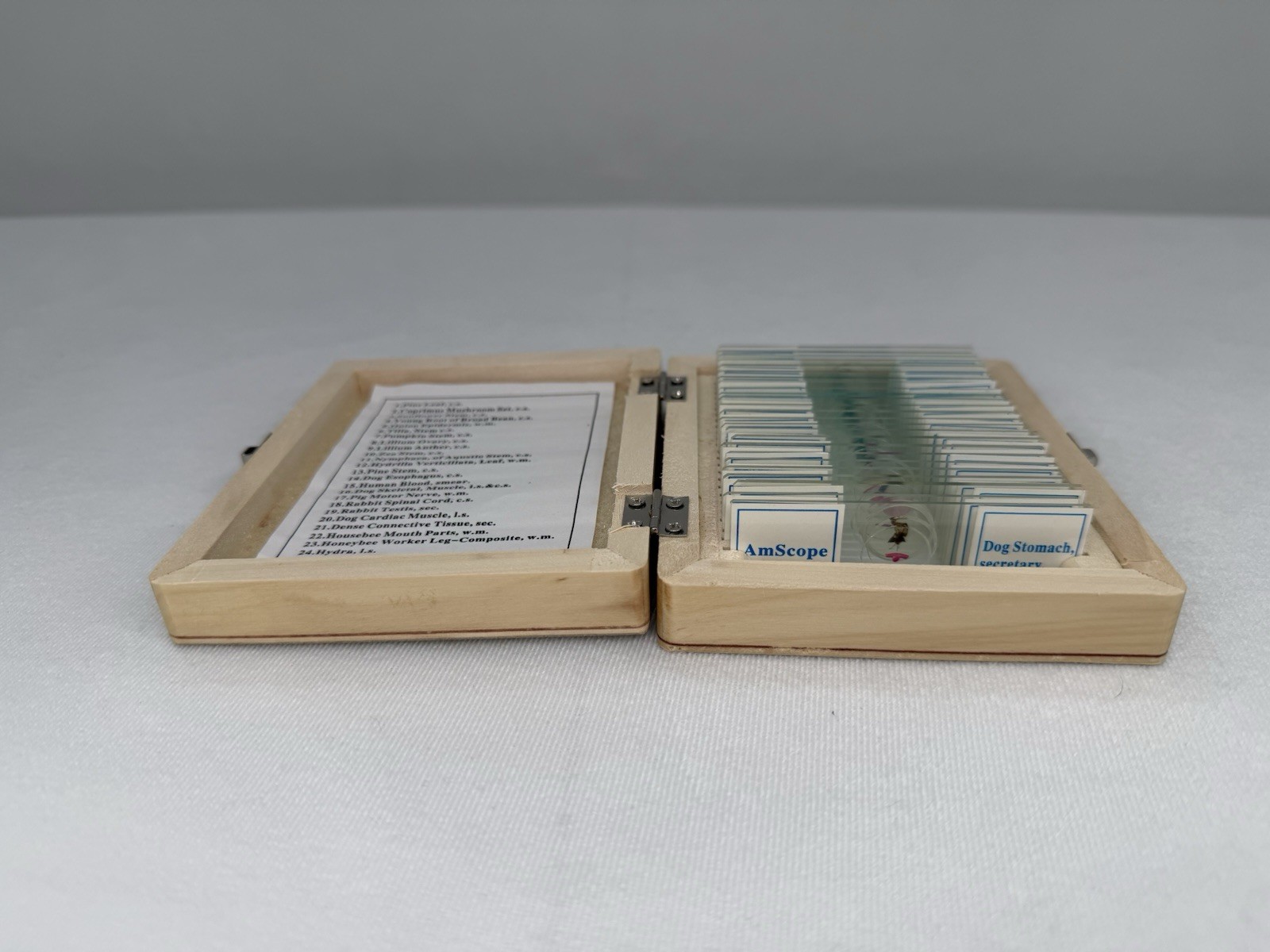 AmScope PS25W Prepared Microscope Slides – Children’s Science Kit