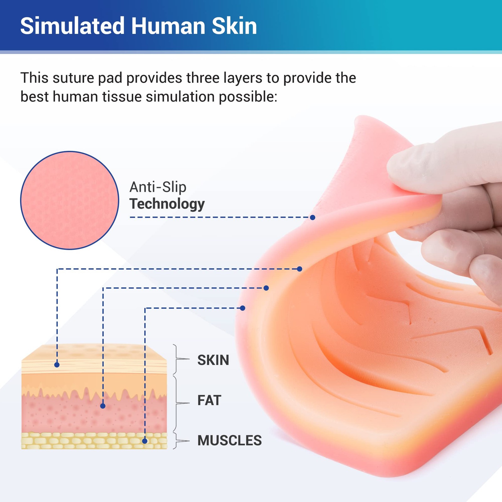 Advanced Suture Practice Kit for Medical and Veterinary Students, Complete Se…