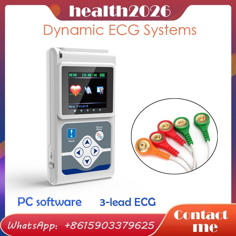 3 leads Dynamic ECG Monitor System 24 Hours Recorder ECG Holter USB PC software