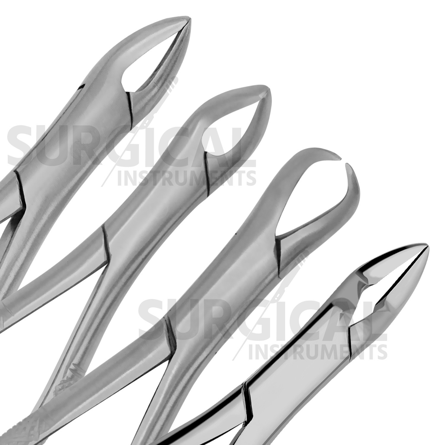 74 Pcs Oral Dental Extraction Surgery Extracting Elevators Forceps German Grade