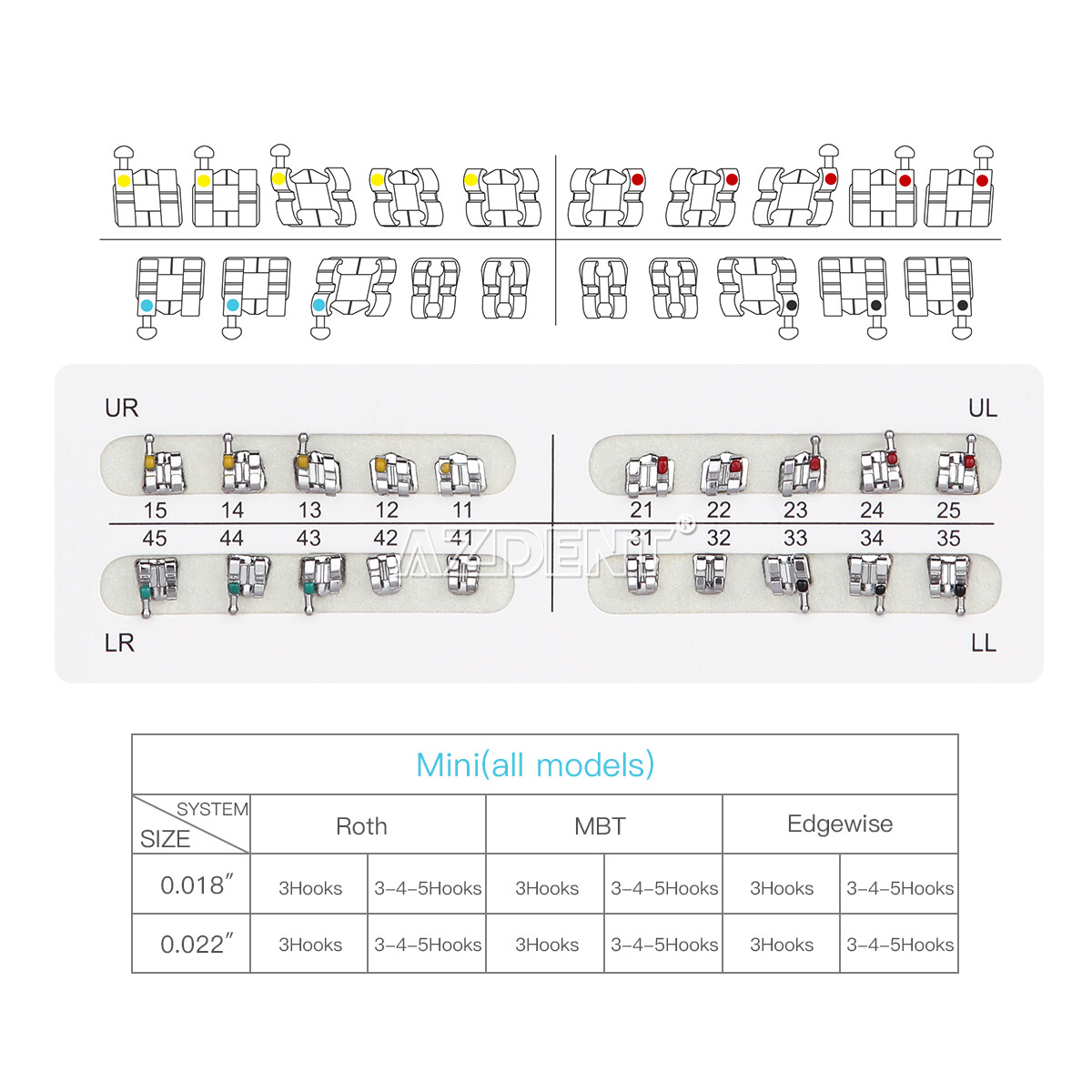 10X AZDENT Ortho Metal Bracket Braces MBT/Roth Hooks 3/345/Round Niti Arch Wires