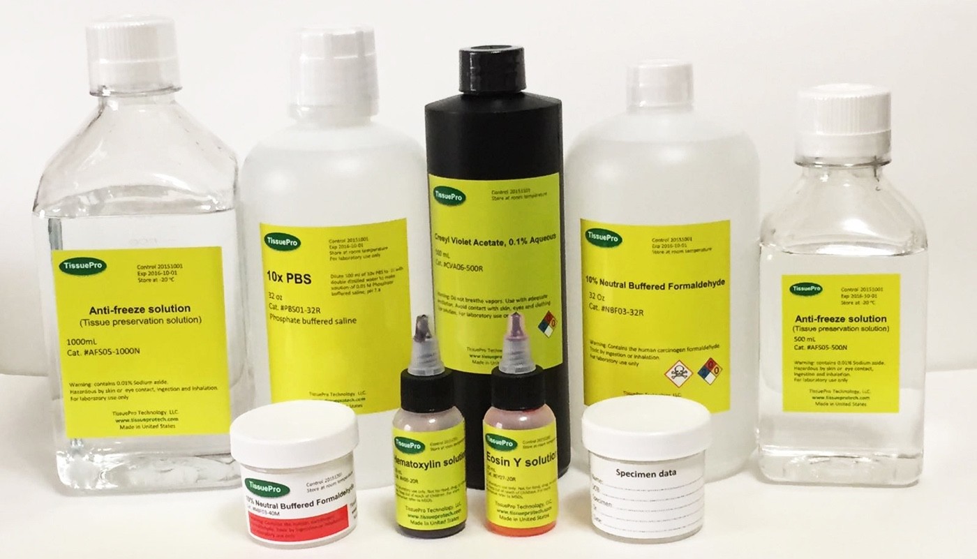10% Neutral buffered formalin 40 ml (pack of 1) from TISSUEPRO