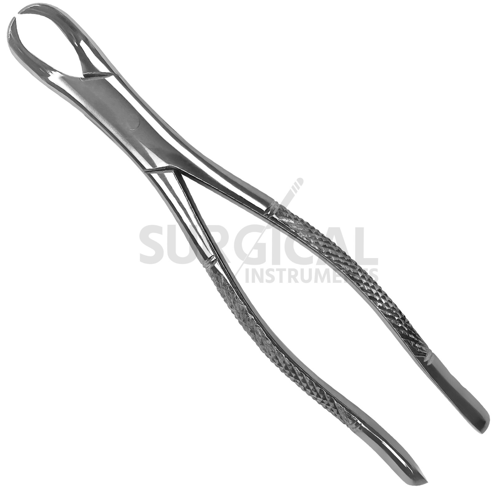 Dental Tooth Extracting Forceps #23 Cow Horn Lower Molar Stainless German Grade
