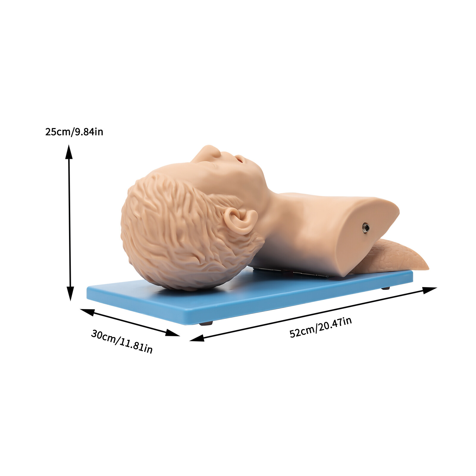 Intubation Manikin Teaching Model Intubation Training Model Education Training