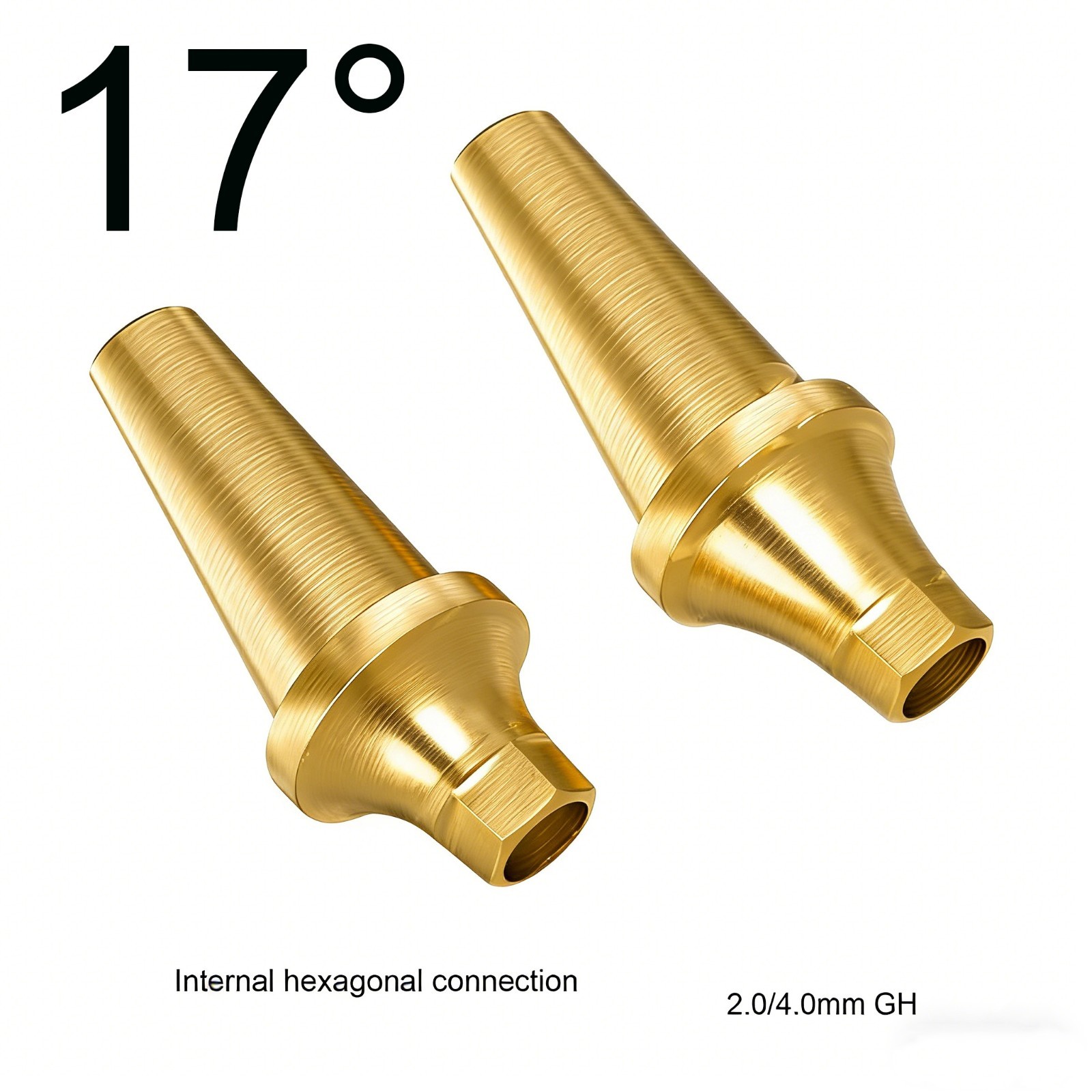US Ti Dental Angled Abutment 17° Hex fits HIOSSEN DIO DFII Neo Biotech Implants