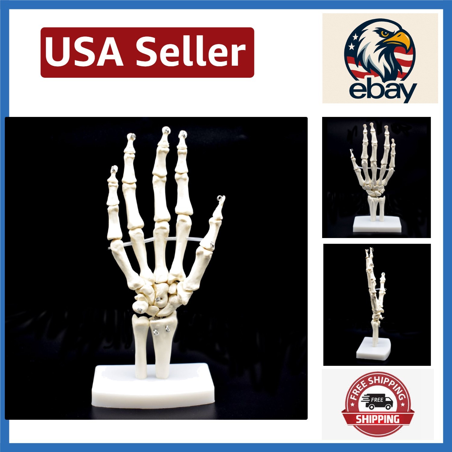Realistic Articulated Hand Skeleton Model – Lightweight and Corrosion Resistant