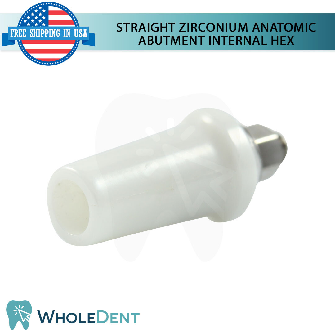 1x Straight Anatomic Zirconium Abutment Int Hex 2.42mm Dental Instrument Ø5.2mm