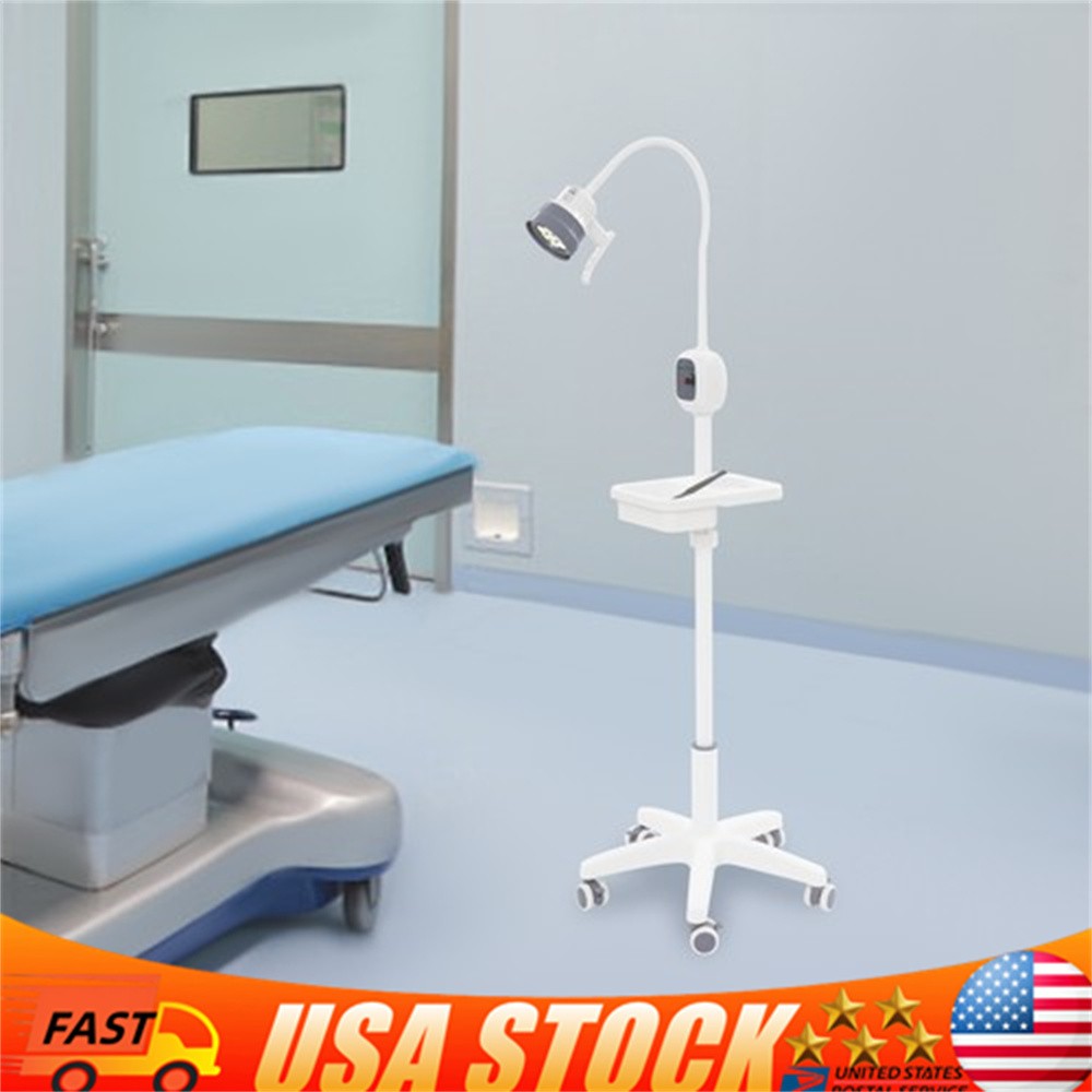 Modern Medical Exam Lamp 5-Wheels LED Dental Examination Lamp White 12W US