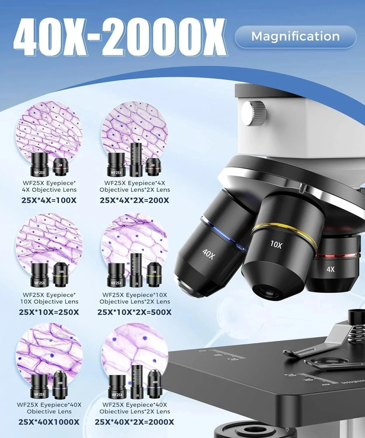 Compound Microscope – 100X-2000X High-Power Biological Microscope(White)