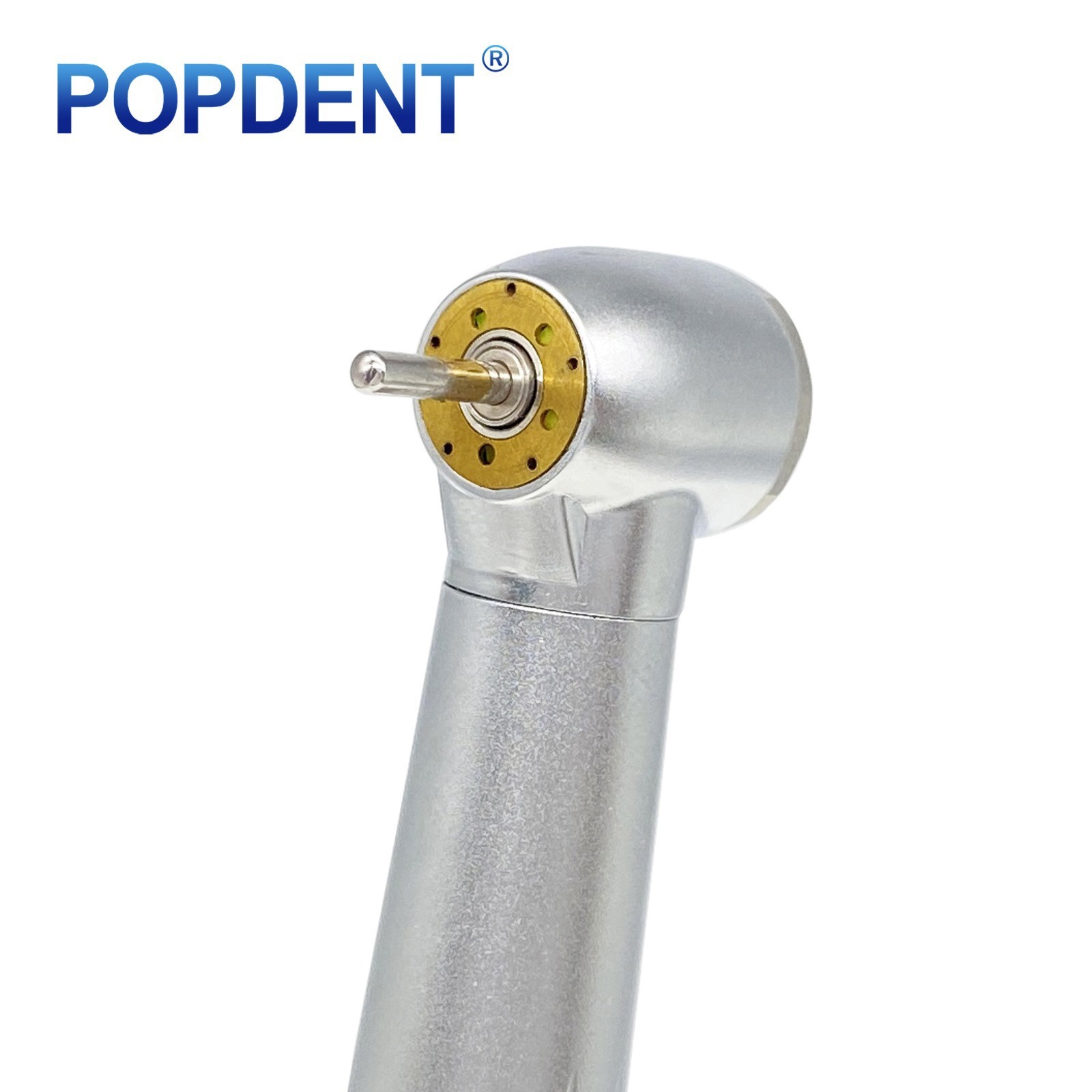 Dental OLED 5 Light LED E-Generator High Speed Handpiece Fiber Optic 2/4 Hole
