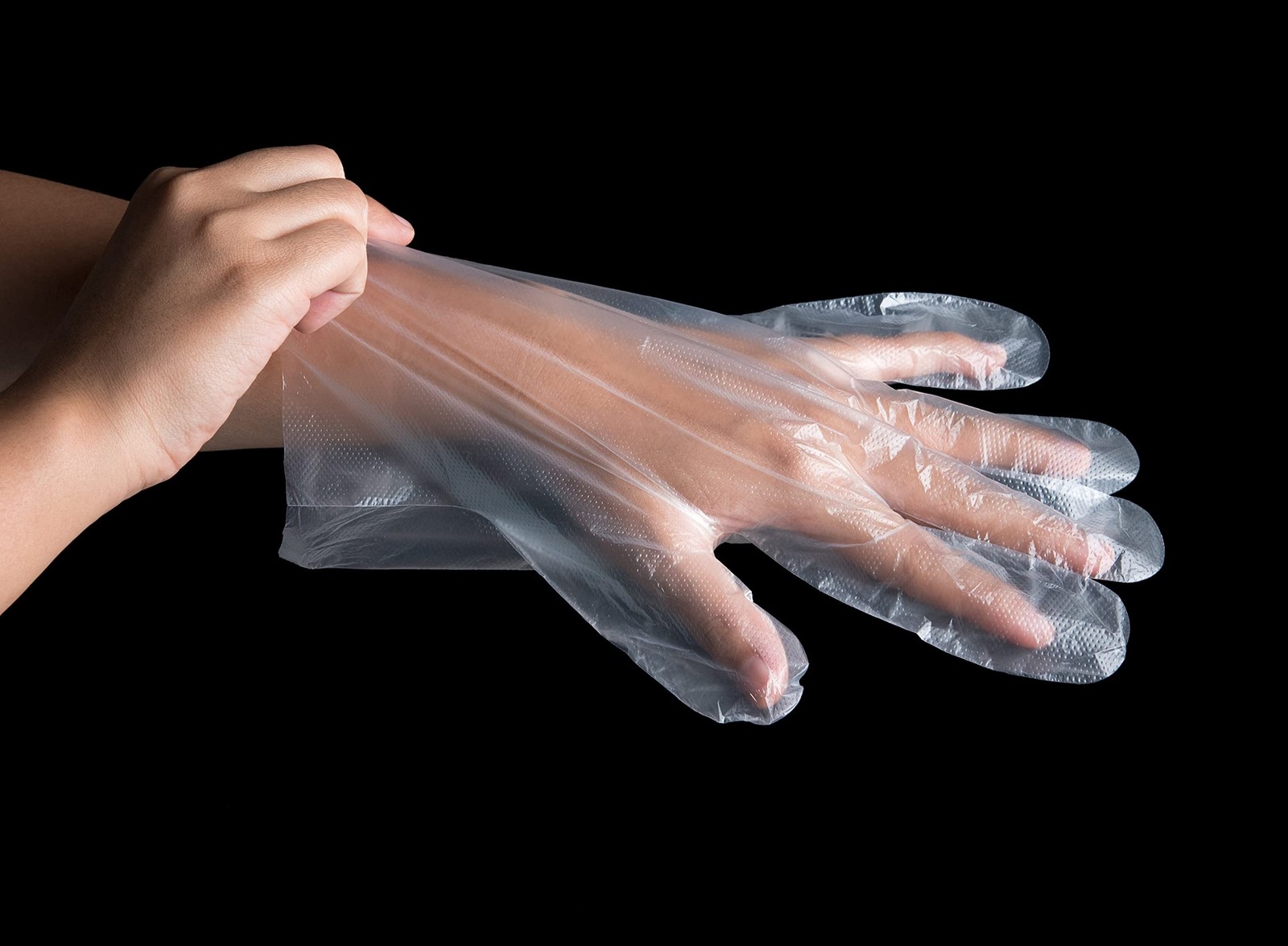 2000 Count Kingseal Light Duty Poly Disposable Gloves Powder-Free Latex-Free