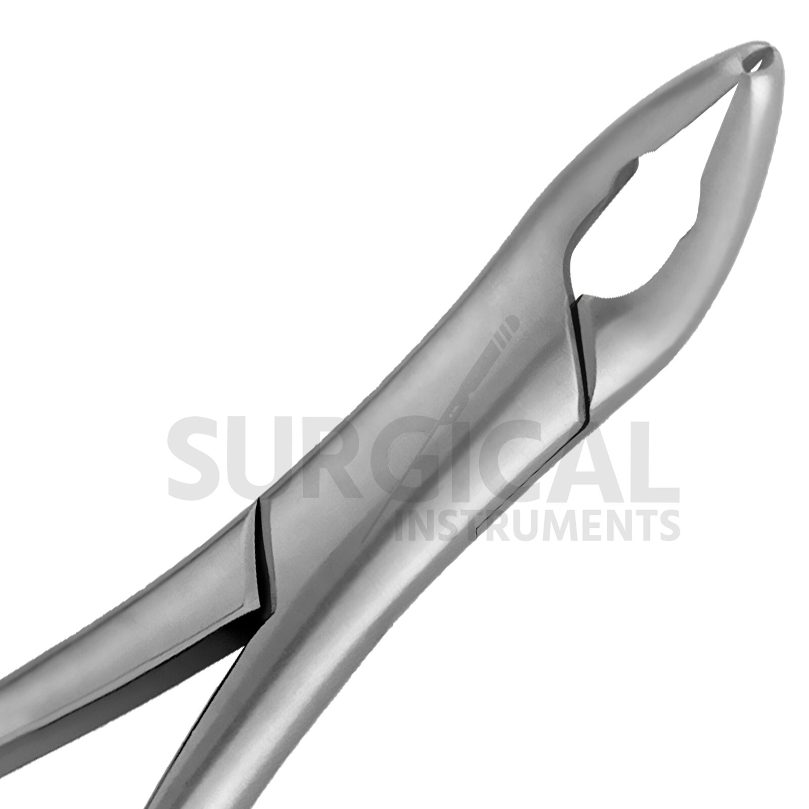 Heavy Duty Extraction Forcep #151 Gold Hollow Python Grip German Grade Pattern-2