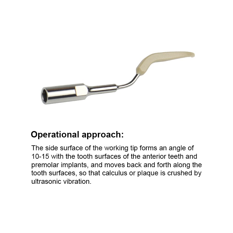 Ultrasonic Dental Scaler Tips Cleaning Implant Orthodontic Fit for SATELEC / DTE