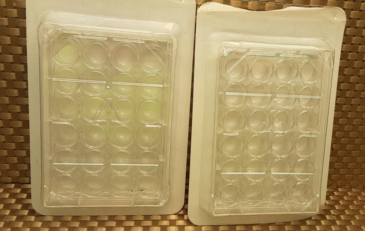 Genesee Scientific Tissue Culture Plate24 Well ( 2 sealed PKs) 25-107