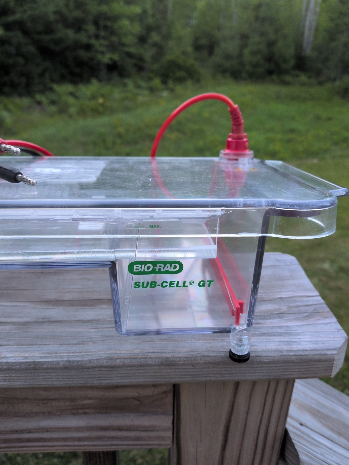 Bio-Rad DNA Sub Cell GT Basic DNA Electrophoresis Systems, Tray & Comb
