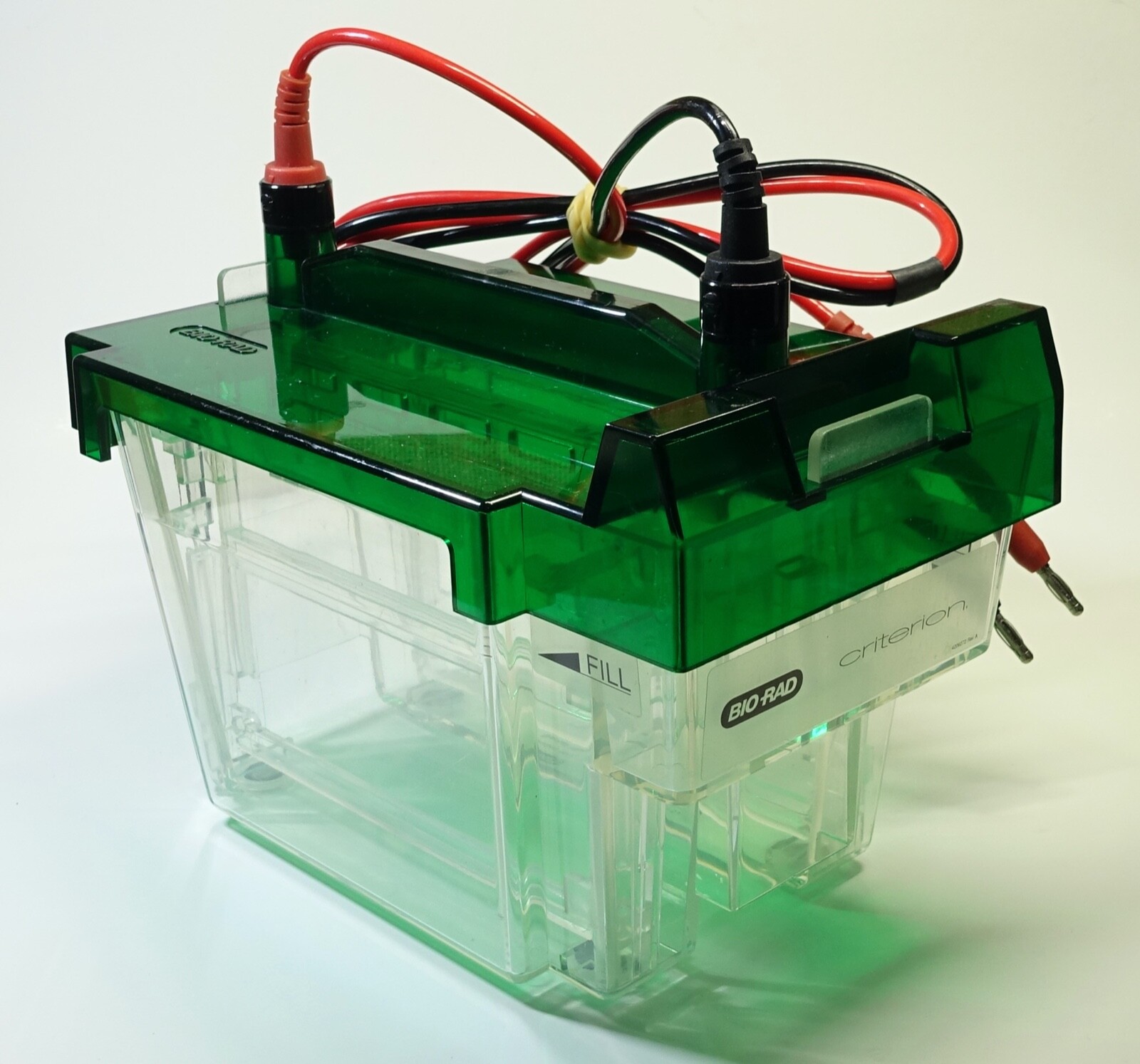 Bio-Rad Criterion Cell for SDS-PAGE Electrophoresis