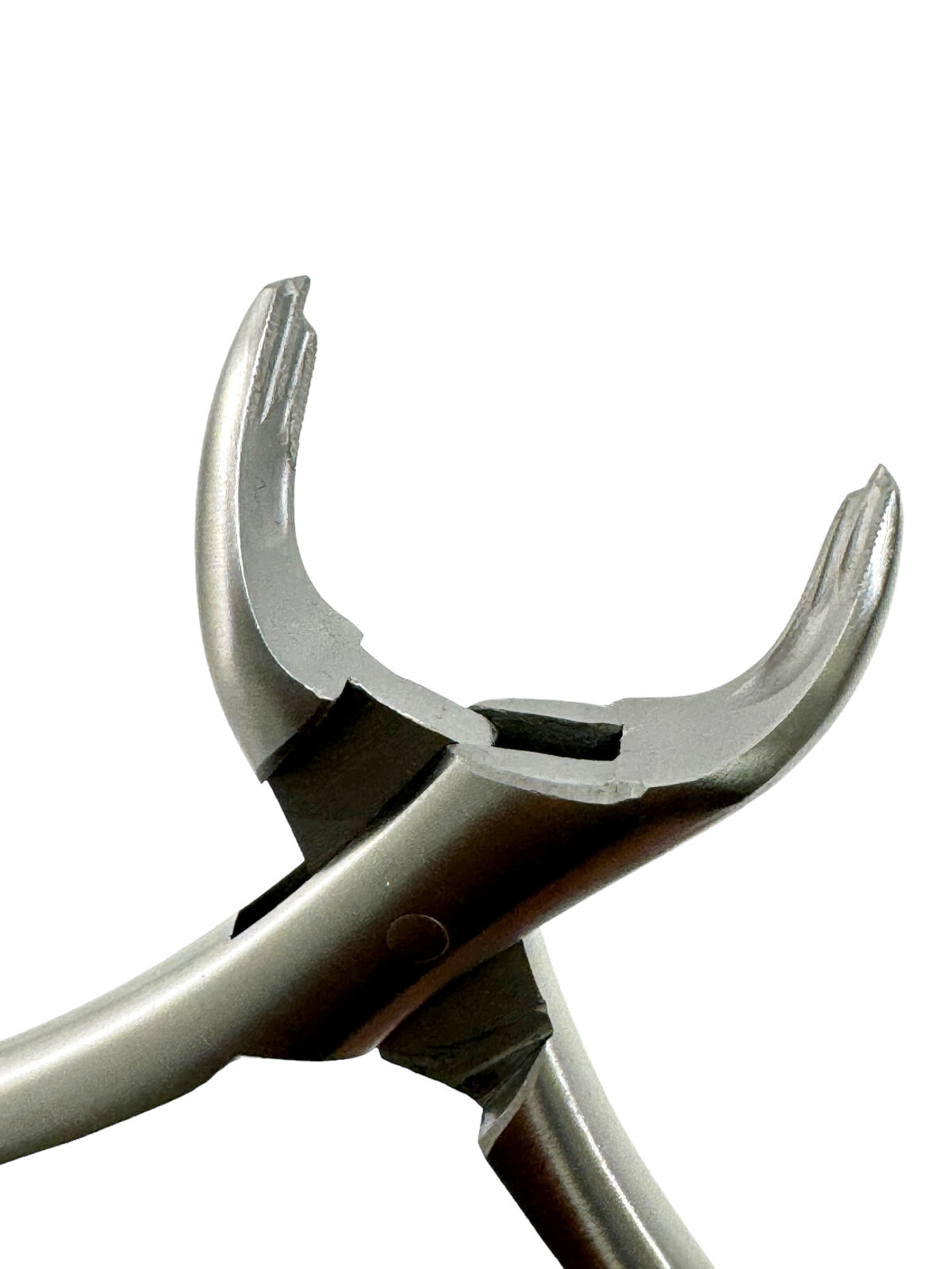 Premium German Dental Extracting Forceps #17 For Lower Molars Dental Instruments