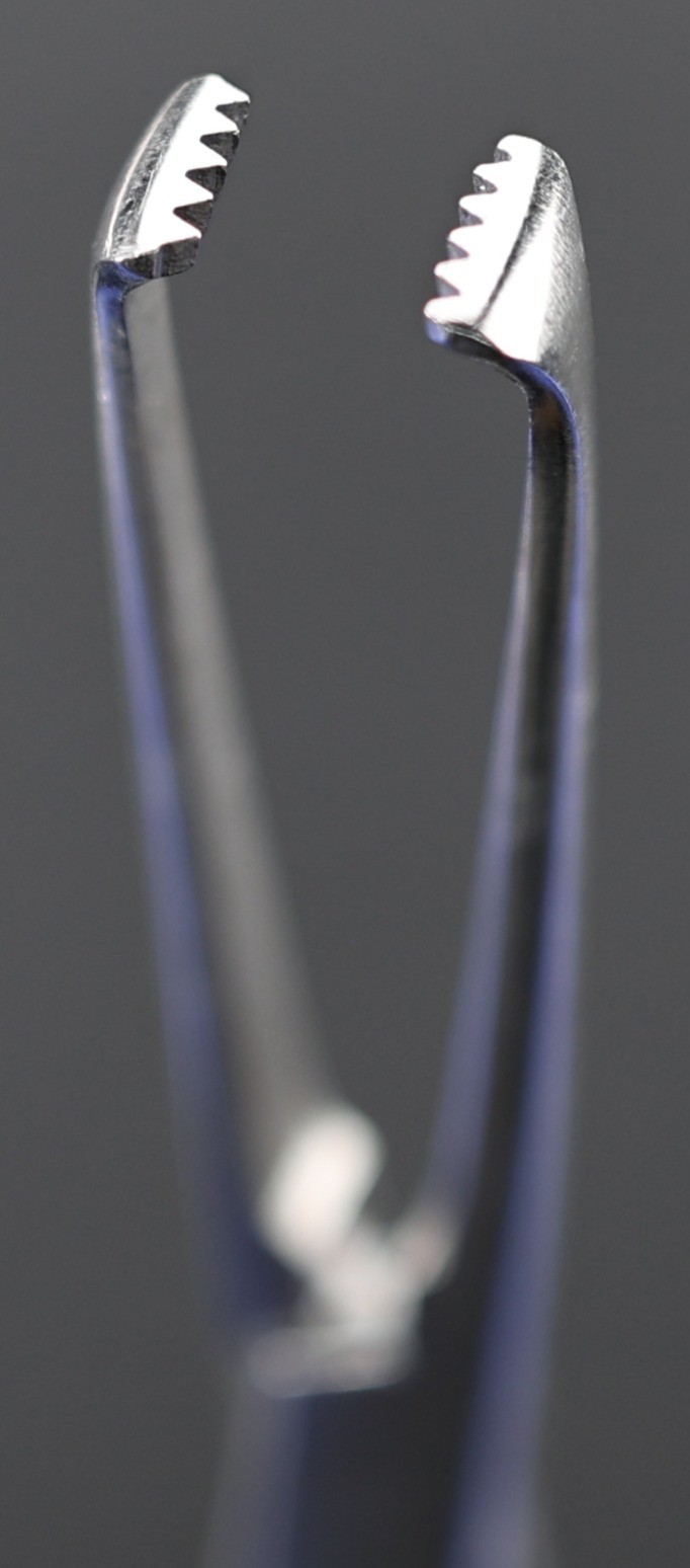 Konig MDS6412015 Allis Tissue Forceps, 5×6 Teeth, 7mm Wide Jaw, Straight, 6-1/8″