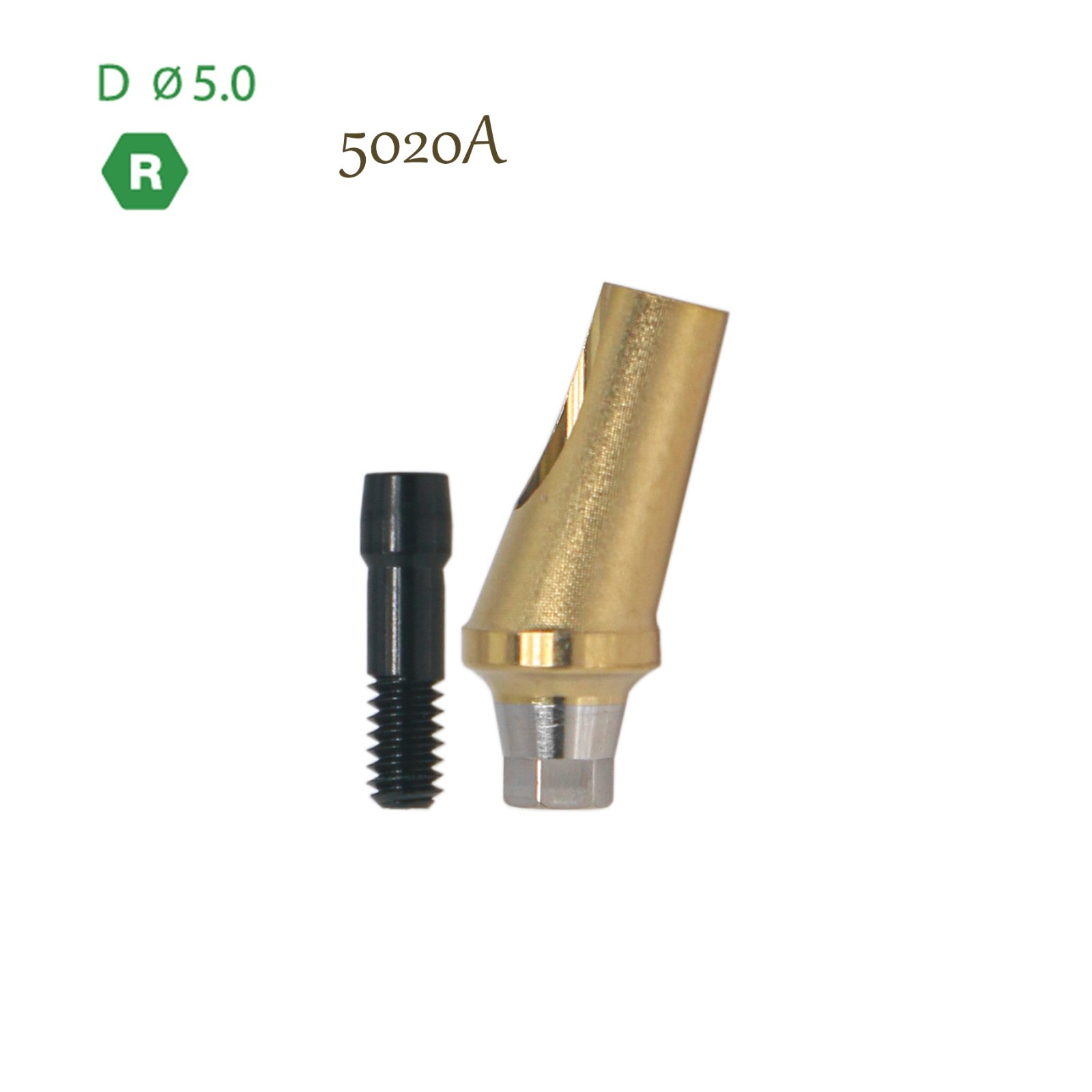 US Dental Mini/Regular Anatomic Abutment Angled 17° Abutment For Hiossen ET