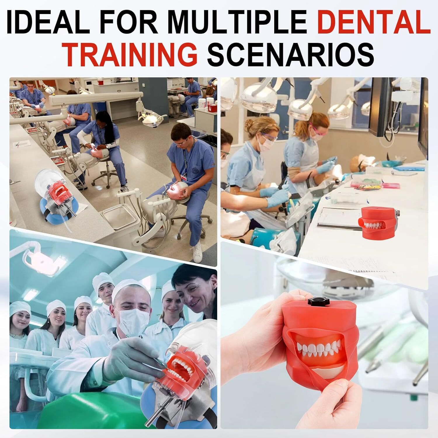 Dental Simulator Mannequin Head Teeth Model Teaching Practicing Head Mold