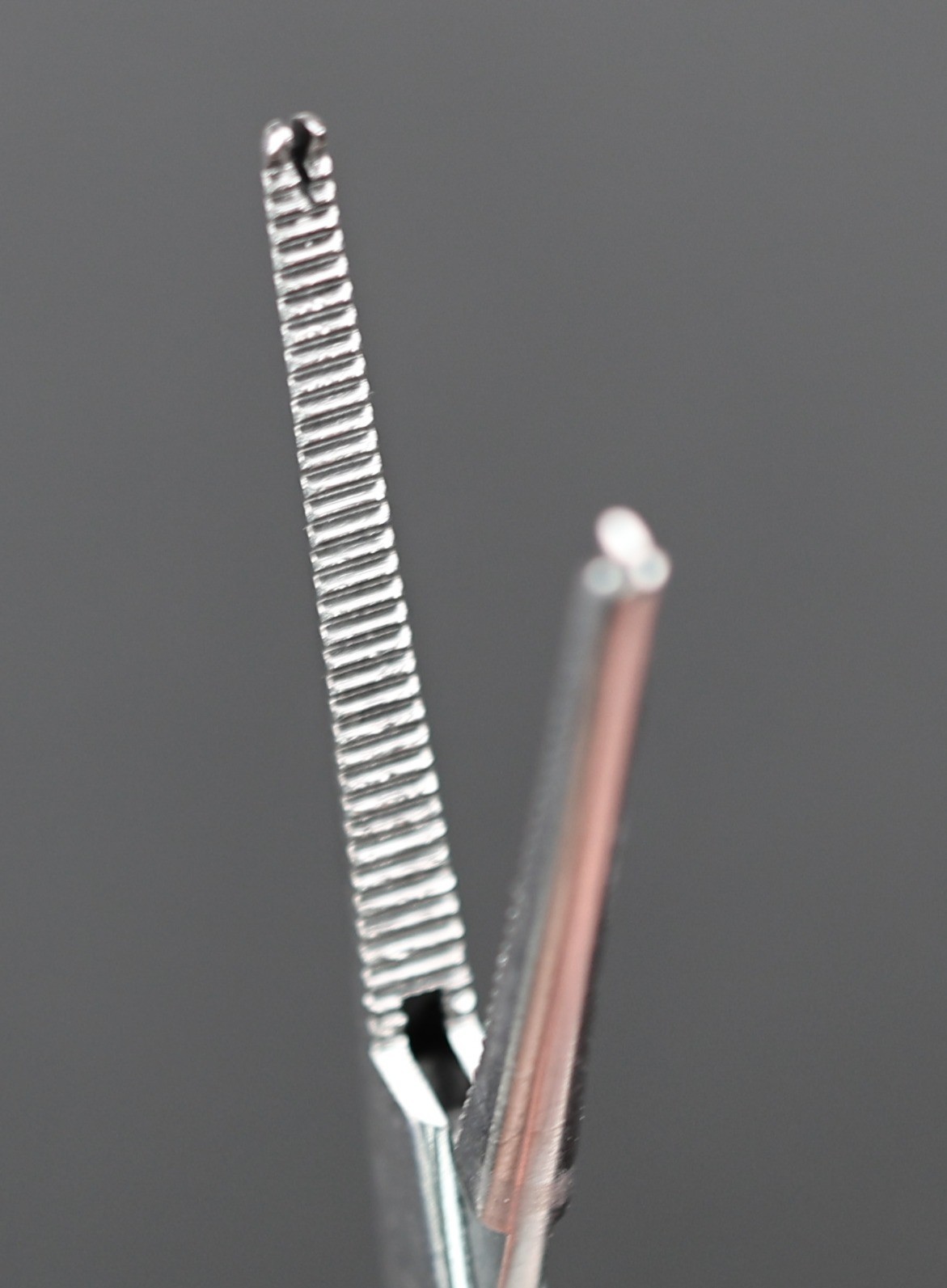 Codman 33-4110 Rochester-Ochsner Forceps, Straight, 1×2 Teeth, 167mm (6.5″)